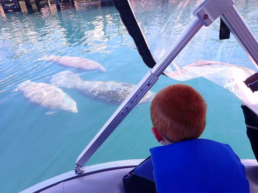 River Cruise with Manatee Viewing - What We Love About This Tour