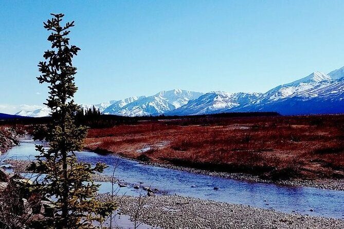 River Rafting in Alaska Wilderness - Who Should Book This Tour?