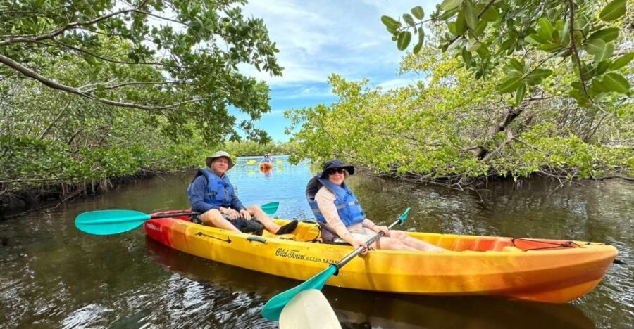 Robinson Preserve Mangrove Tour - Who Should Consider This Tour?