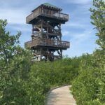 Robinson Preserve Nature Walk Eco Tour - Final Thoughts: Who Will Love the Robinson Preserve Eco Tour?