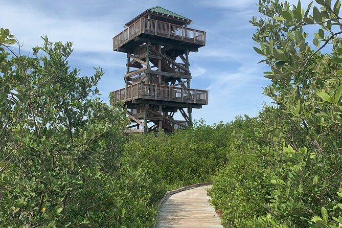 Robinson Preserve Nature Walk Eco Tour - Final Thoughts: Who Will Love the Robinson Preserve Eco Tour?