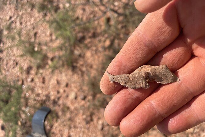 Rockhounding in Bisbee - The Sum Up