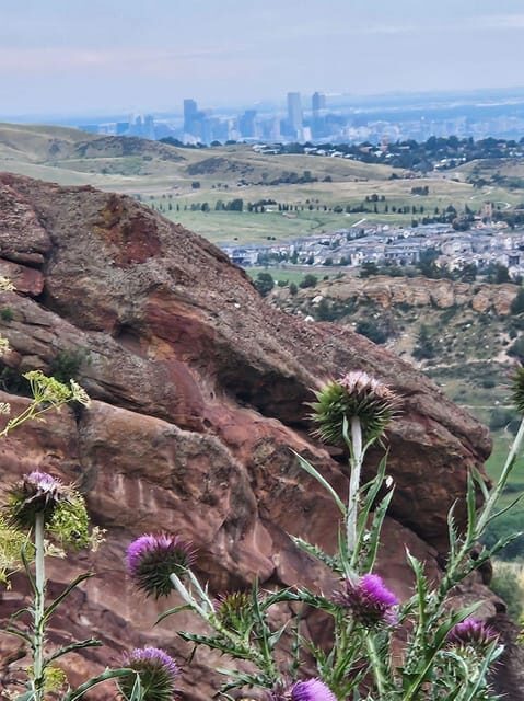 Rocky Mountain HIGH: Cannabis Mountain Tour - The Experience: What’s It Really Like?