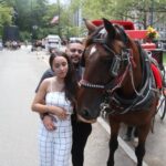 Romantic/Proposal Central Park Carriage Tour Up to 4 Adults - The Cost and Value