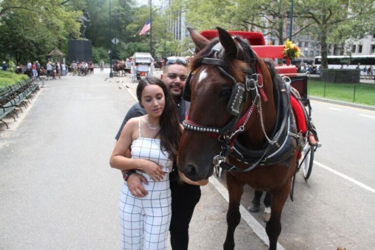 Romantic/Proposal Central Park Carriage Tour Up to 4 Adults - The Cost and Value