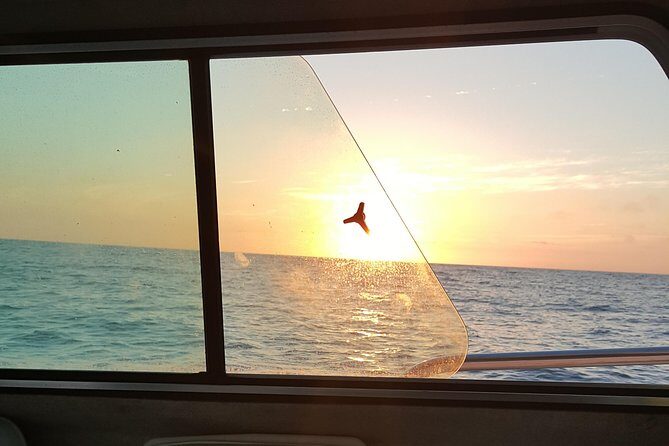 Romantic Wine and Cheese Boat Tower Cruise - What Makes This Cruise Special
