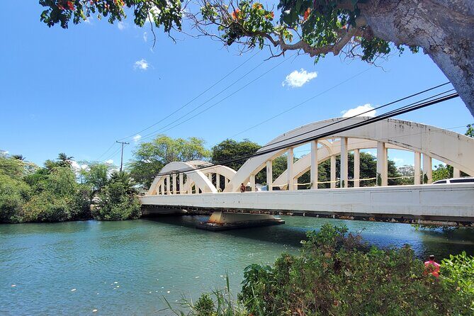 Round Trip North Shore Shuttle from Waikiki to Haleiwa Town / Haleiwa Harbor - The Details of the North Shore Shuttle Experience