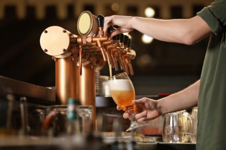 Saint Louis Brews and Views Half-Day Tour - Logistics and Practicalities