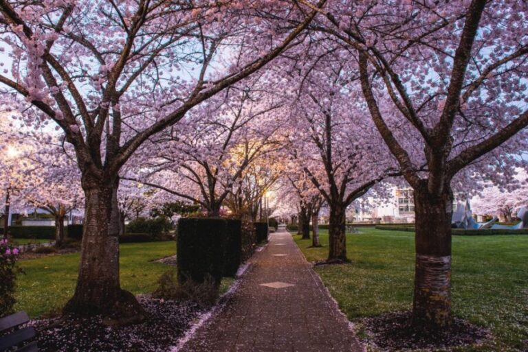 Salem: Witch Trial Walking Tour - Who Should Consider This Tour?