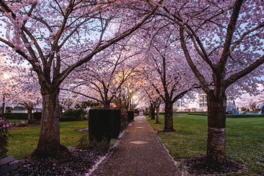 Salem: Witch Trial Walking Tour - Who Should Consider This Tour?