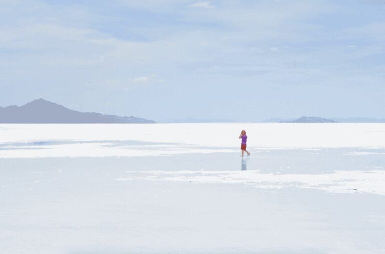 Salt Lake City: Bonneville Salt Flats Tour - Walking on the Salt Flats: What to Expect
