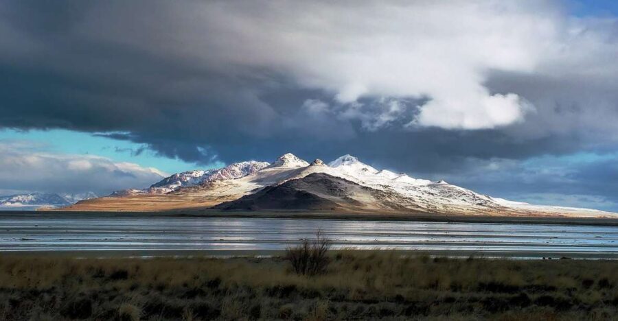 Salt Lake City: Great Salt Lake Antelope Island Guided Tour - Wildlife Watching: A Nature Lover’s Dream