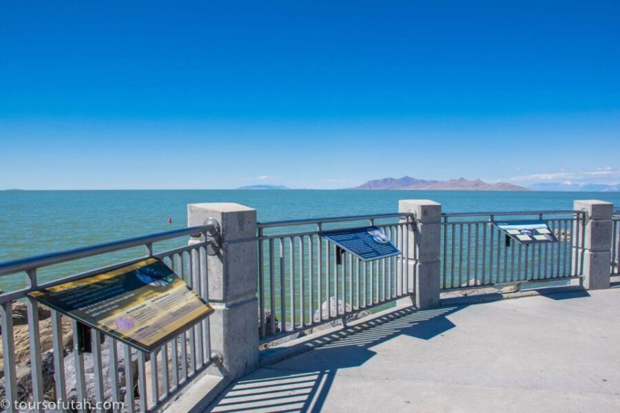 Salt Lake City: Great Salt Lake Guided Tour - An In-Depth Look at the Great Salt Lake Guided Tour