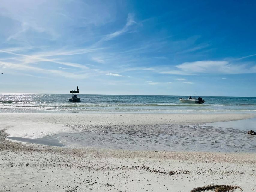 Salty Turtle Adventure Charter - What Makes This Tour Stand Out?