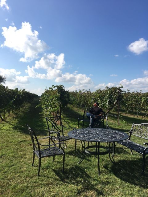 San Antonio: Fredericksburg Wineries Day Trip with Tastings - Authentic Insights from Reviews