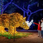 San Antonio: San Antonio Zoo Any Day Ticket - Who Will Love This Experience?