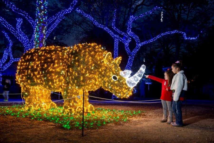 San Antonio: San Antonio Zoo Any Day Ticket - Who Will Love This Experience?