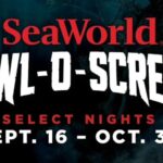 San Antonio: SeaWorld Skip-the-Line Park Admission Ticket - Final Thoughts: Is It Worth It?