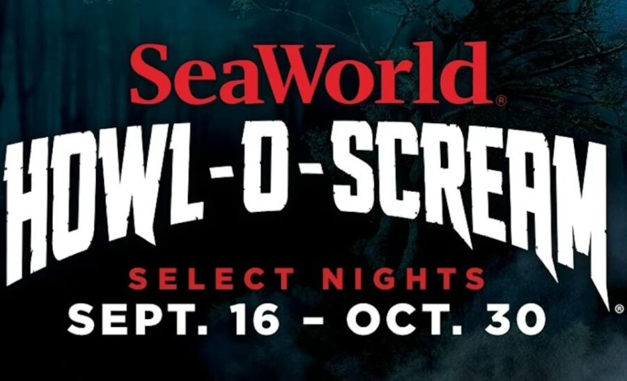 San Antonio: SeaWorld Skip-the-Line Park Admission Ticket - Final Thoughts: Is It Worth It?