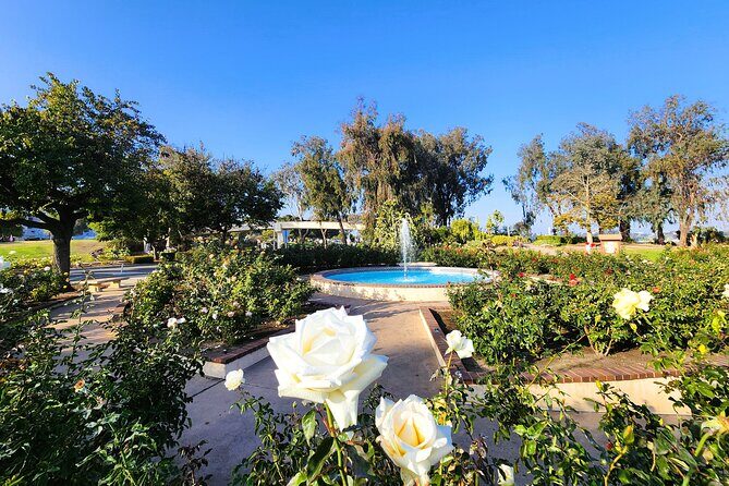 San Diego Balboa Park Walking Tour - An In-Depth Look at the Tour Itinerary