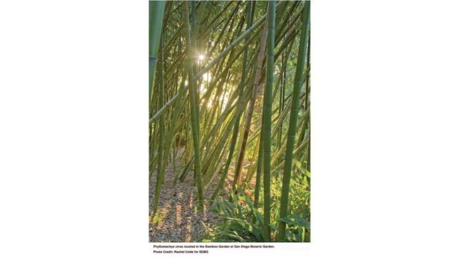 San Diego Botanical Garden Entry Ticket and Transportation - Practical Details and What You Should Know