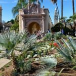 San Diego Driving Tour: Gaslamp Quarter, Balboa Park & Old Town - Final Thoughts