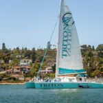 San Diego Harbor Cruise: 2.5 hour Catamaran Cruise - Landmarks and Photo Opportunities