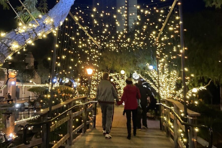 San Diego: Holiday Lights and Sights Trolley Tour - Final Thoughts: Is It Worth It?