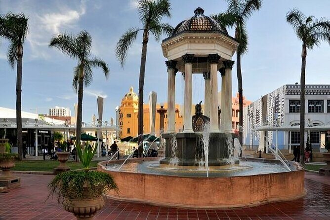 San Diego Must-see Attractions Private Guided Walking Tour - The Practical Side: What You Need to Know