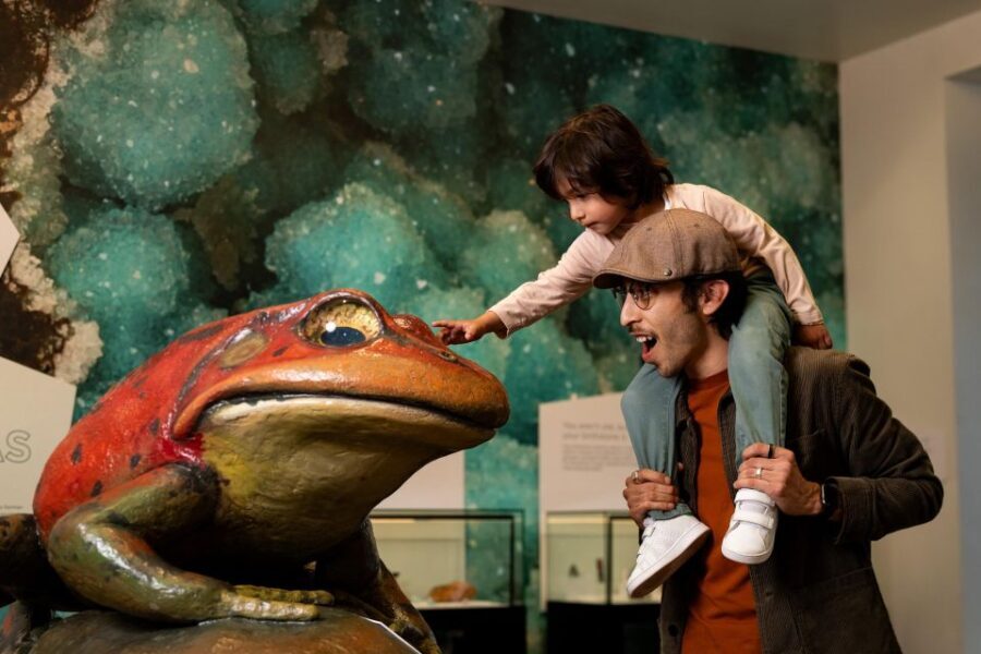 San Diego: San Diego Natural History Museum Ticket - Who Would Love This Experience?