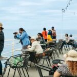 San Diego: Whale and Dolphin Watching Cruise - Who Is This Tour Best For?