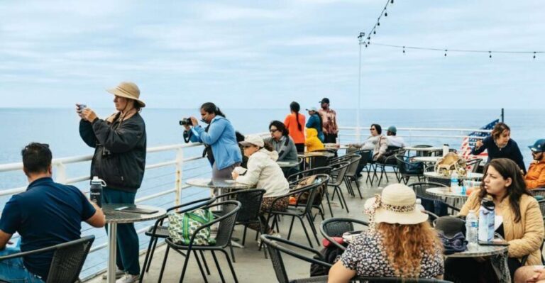 San Diego: Whale and Dolphin Watching Cruise - Who Is This Tour Best For?