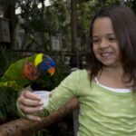 San Diego Zoo and Safari Park: 2-Day Entry Ticket - Authentic Traveler Experiences