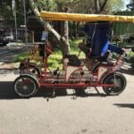 San Fancisco: Golden Gate Park Surrey Rental - The Experience: What Reviewers Say