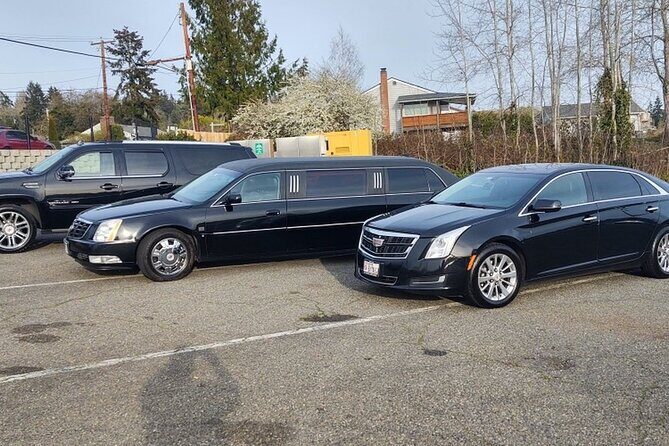 San Francisco Airport (SFO) to San Francisco Private Transfer - The Sum Up
