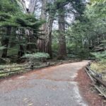 San Francisco: Alcatraz, Muir Woods and Sausalito Day Tour - Is the Price Worth It?