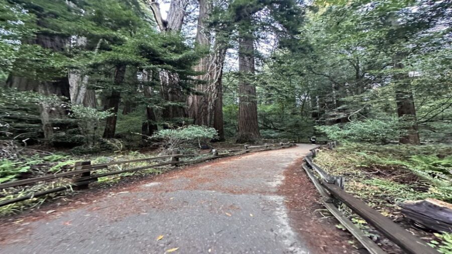 San Francisco: Alcatraz, Muir Woods and Sausalito Day Tour - Is the Price Worth It?