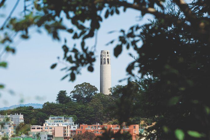 San Francisco: Coit Tower and Little Italy Guided Walking Tour - Who Is This Tour Best For?