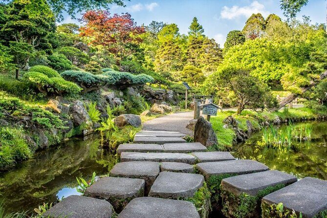 San Francisco Golden Gate Park Puzzling Adventure - The Experience in Practice