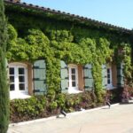 San Francisco: Half-Day Wine Country Tour with Wine Tastings - The Itinerary Breakdown: What You Can Expect