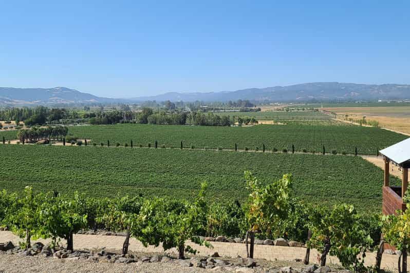 San Francisco: Half-Day Wine Tour with 2 Tastings Included - The Wineries: Two Distinct Experiences