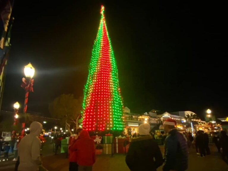 San Francisco: Holiday Lights Private Group Jeep Tour - The Value of a Private Group Tour