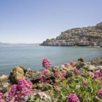 San Francisco: Muir Woods and Sausalito Experience - In-Depth Look at the Tour Experience