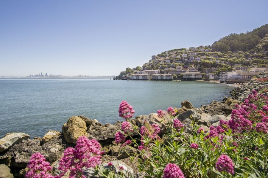 San Francisco: Muir Woods and Sausalito Experience - In-Depth Look at the Tour Experience