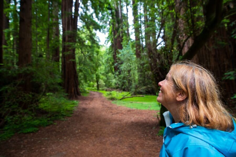 San Francisco: Muir Woods and Sausalito Tour with Admission - The Muir Woods Experience in Detail