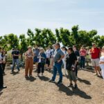 San Francisco: Muir Woods, Napa & Sonoma Valley Wine Tour - Evaluating the Value: Is It Worth the Price?