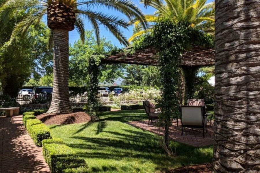 San Francisco: Napa and Sonoma Valley Private Wine Tour - What You Can Expect from the Tour