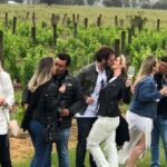 San Francisco: Napa Valley Half-Day Wine Tour with Tastings - The Value of the Experience