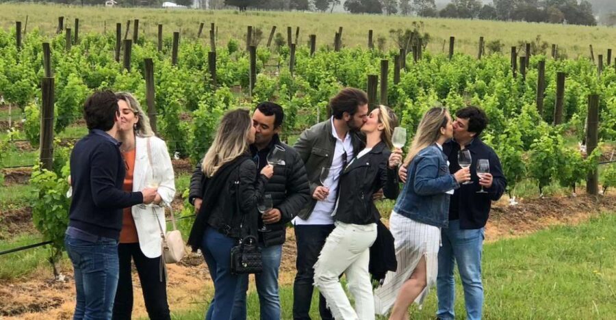 San Francisco: Napa Valley Half-Day Wine Tour with Tastings - The Value of the Experience