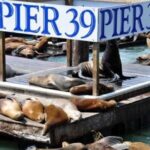San Francisco Pier 39 Puzzling Adventure - A Deeper Look at the Pier 39 Puzzling Adventure